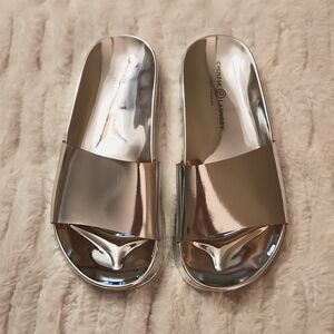 Brand new metallic silver slides